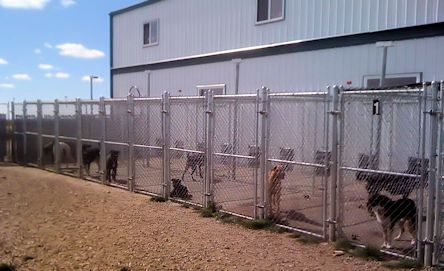 Kennels