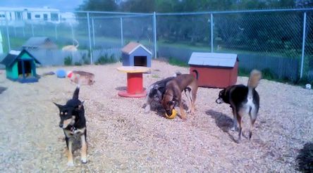 play area
