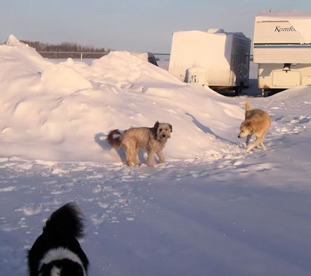 Snow Play