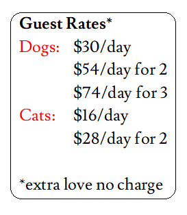 best kennel rates